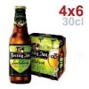 Hertog Jan Lentebock 24x30cl