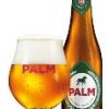 Palm 24x25cl