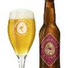 't IJ Flink 24x33cl