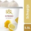 Carte D'or Sorbet Citroen 1x5500