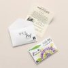 Thee Peeze Groene Thee Passievrucht 12x20st