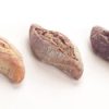 Petit Pain Ardennais Mix 60x80gr 5000795