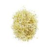 Alfalfa 100gr