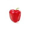 Paprika Rood