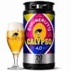 Fust 't IJ Calypso Session IPA 20 Liter