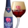 Delirium Nocturnum 24x33cl Krat