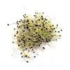 Prei Scheuten 50gr 34023