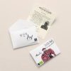 Thee Peeze Rooibos 12x20st met envelop