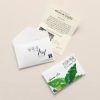 Thee Peeze Groene Thee 12x20st met envelop